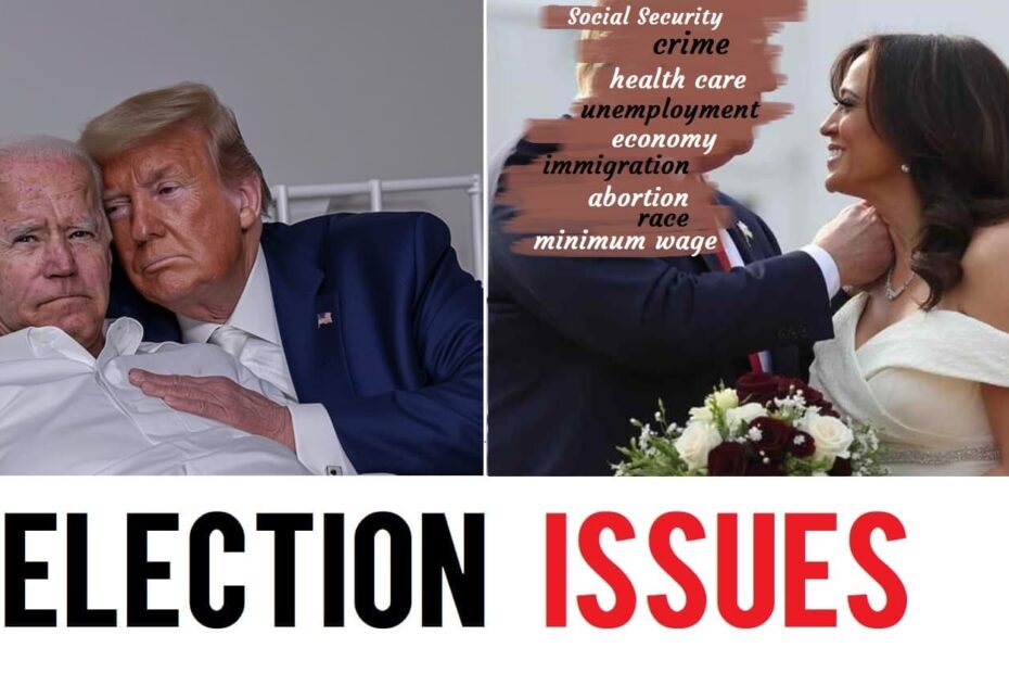 election issues of Americans- " abortion crime economy health care immigration minimum wage Social Security unemployment race voter registration "