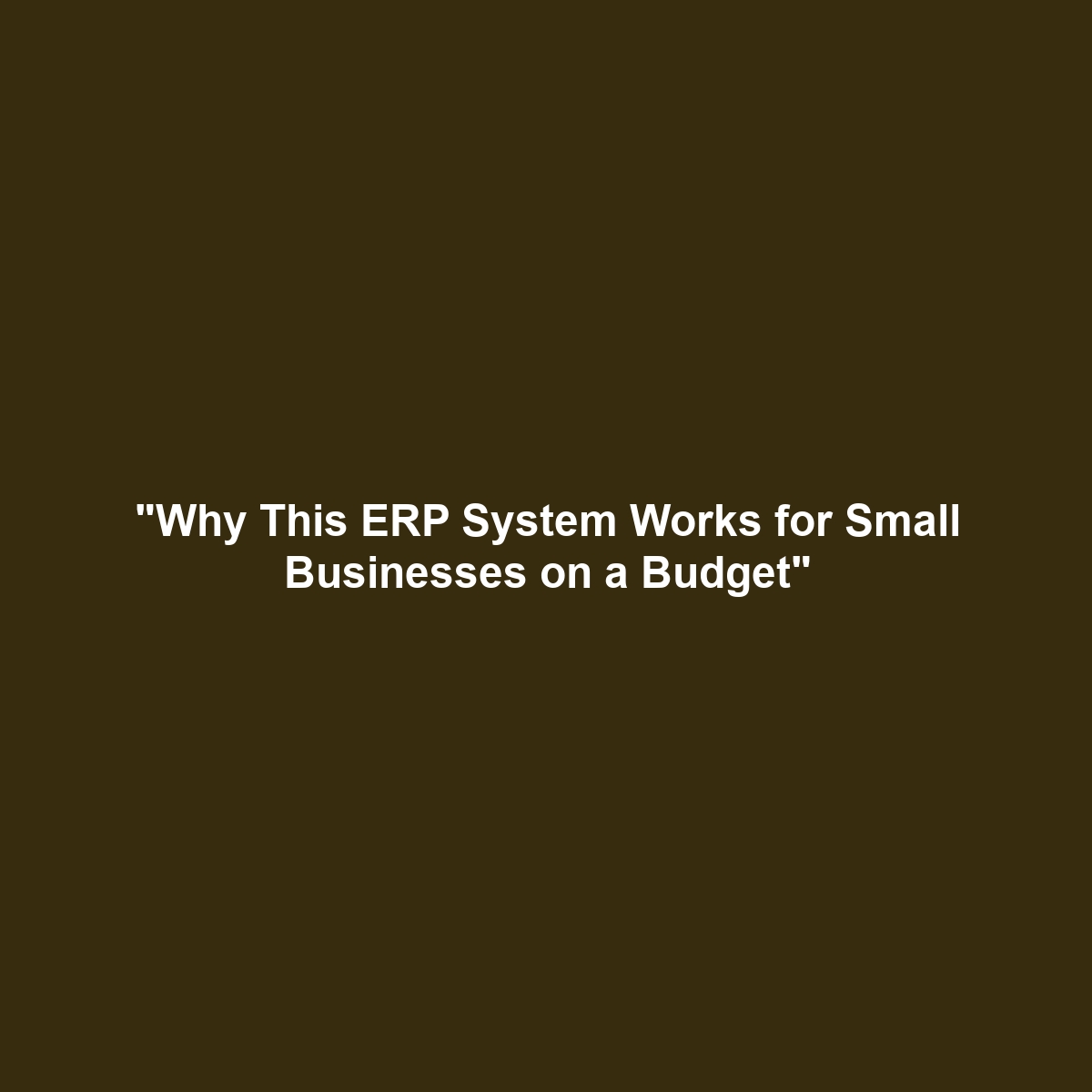 “Why This ERP System Works for Small Businesses on a Budget”