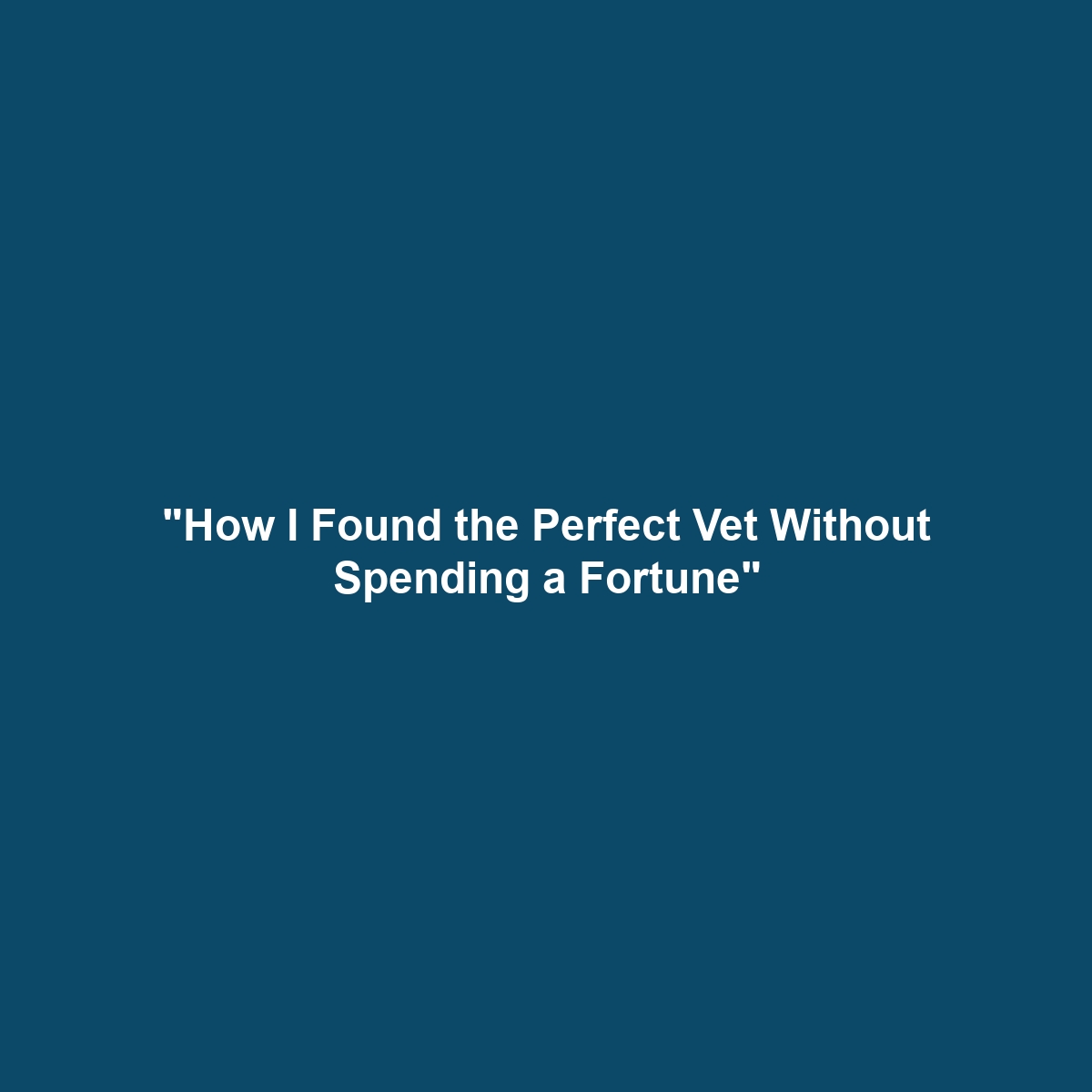 “How I Found the Perfect Vet Without Spending a Fortune”