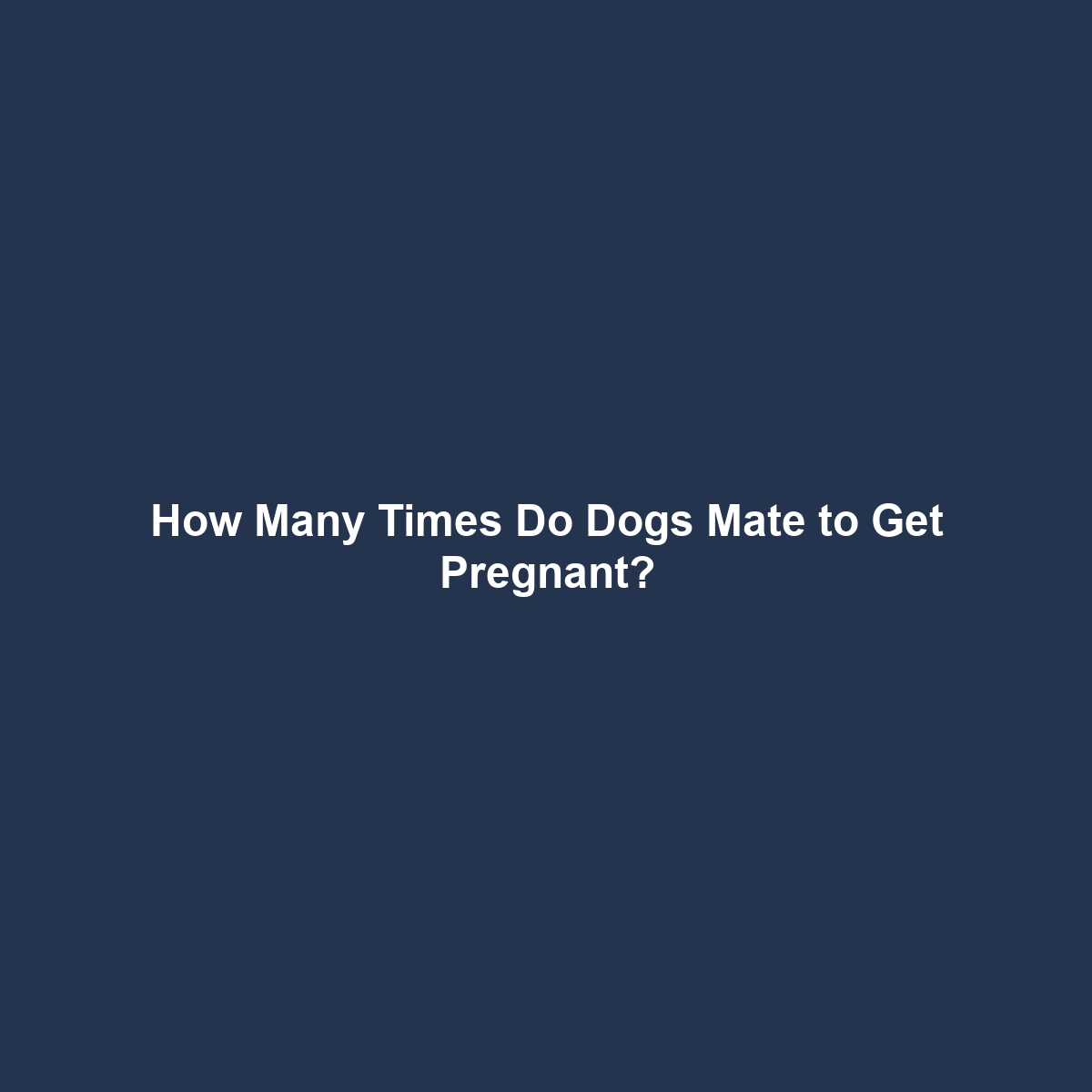 How Many Times Do Dogs Mate to Get Pregnant?