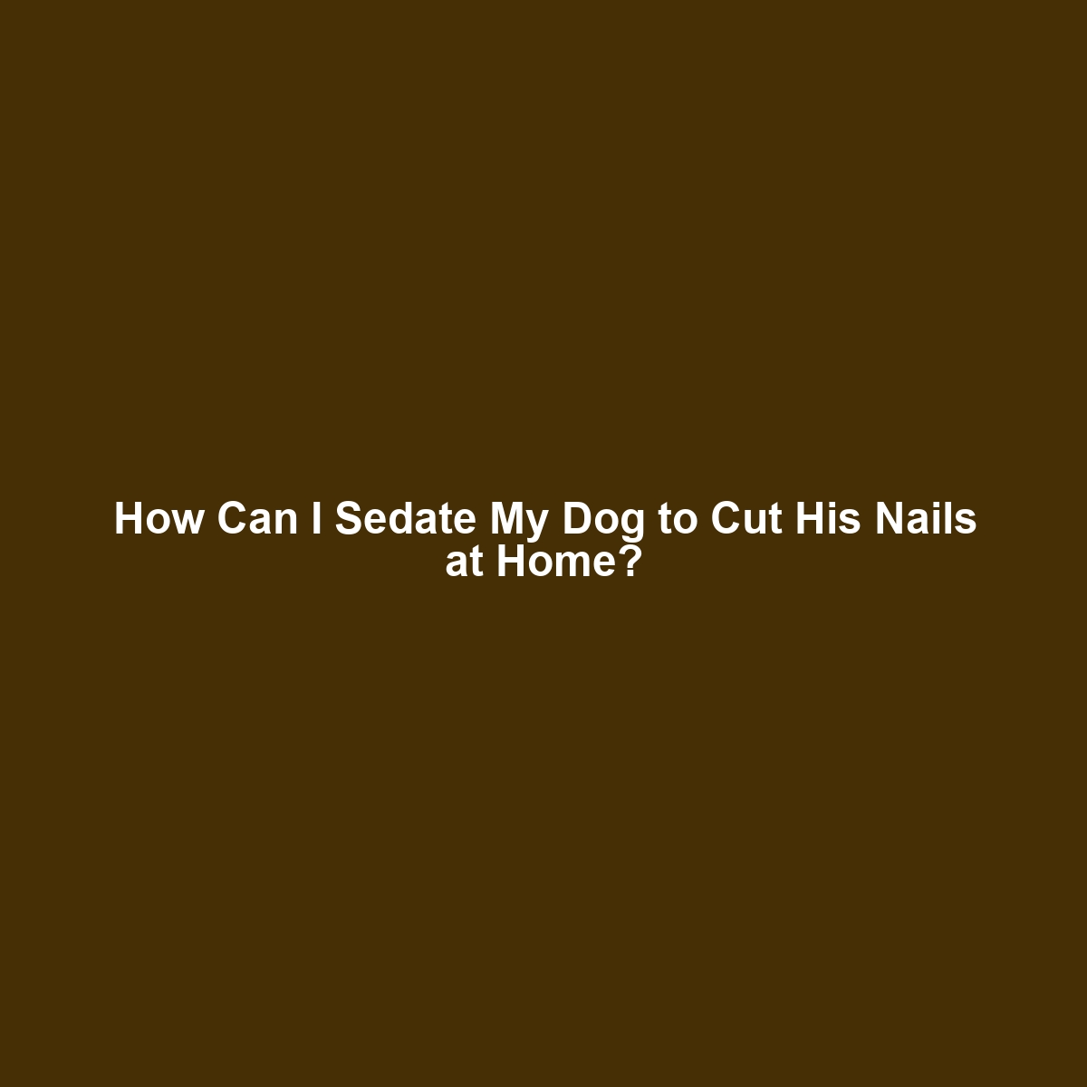 How Can I Sedate My Dog to Cut His Nails at Home?