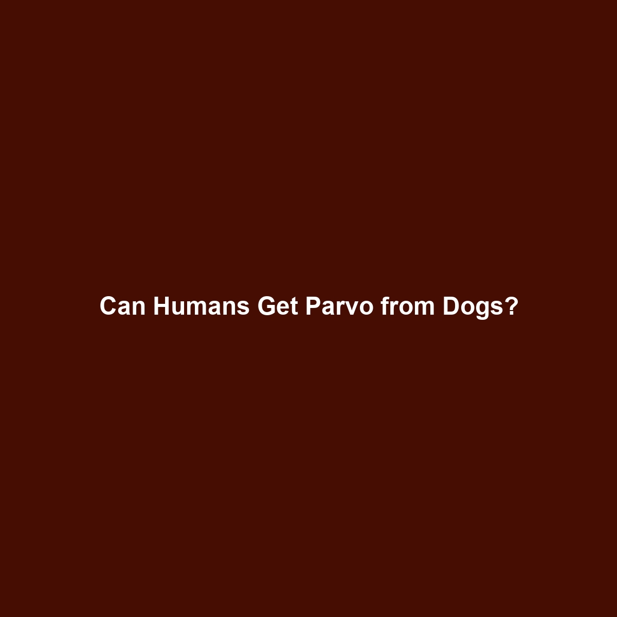 Can Humans Get Parvo from Dogs?