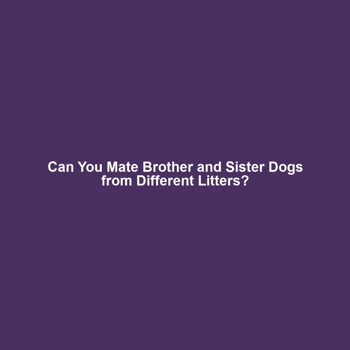 Can You Mate Brother and Sister Dogs from Different Litters?