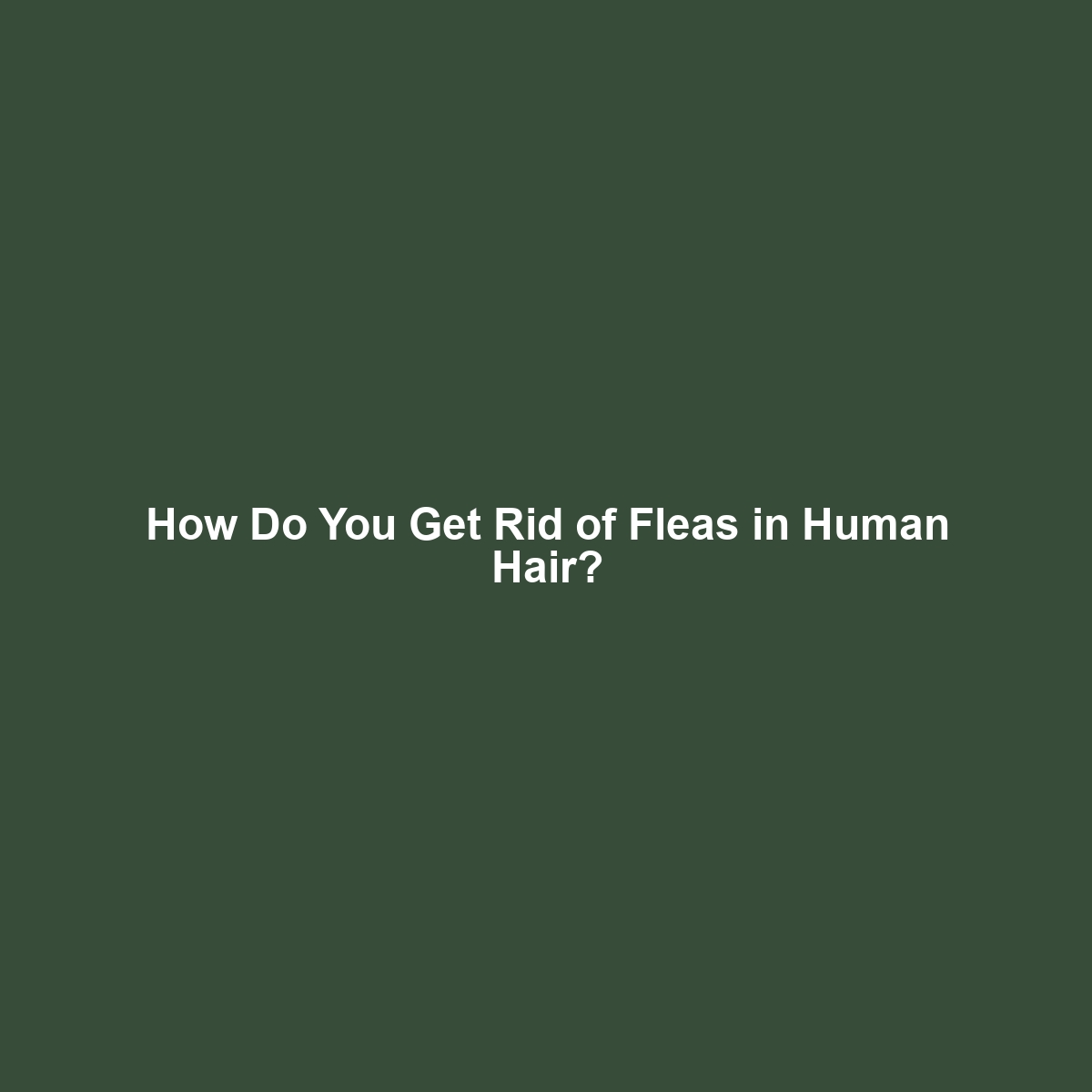 How Do You Get Rid of Fleas in Human Hair?