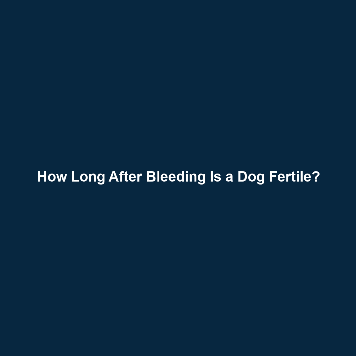 How Long After Bleeding Is a Dog Fertile?