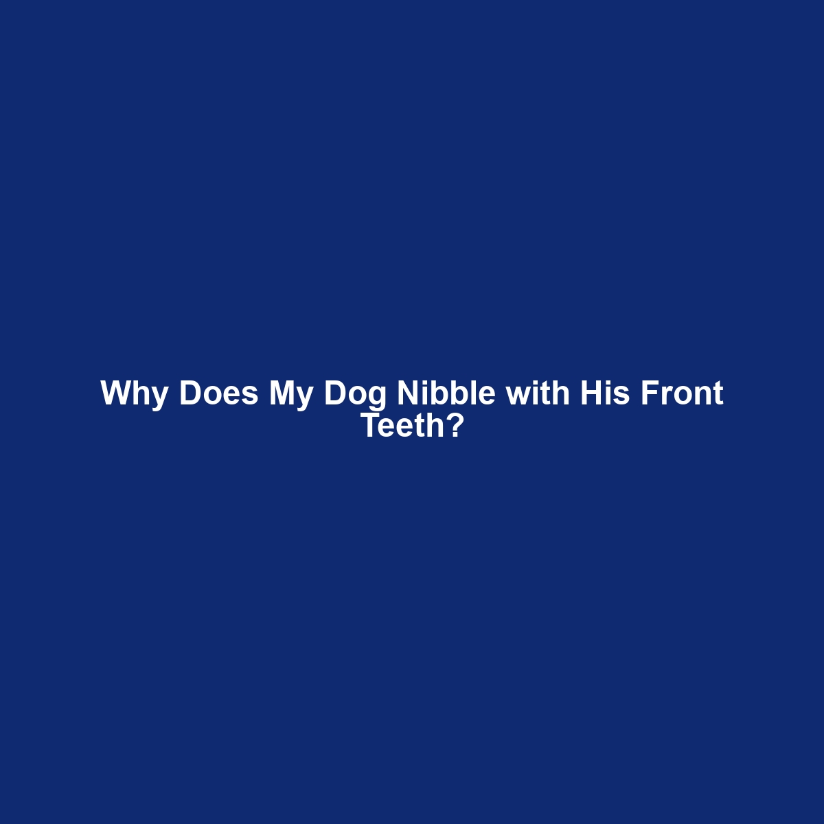 Why Does My Dog Nibble with His Front Teeth?