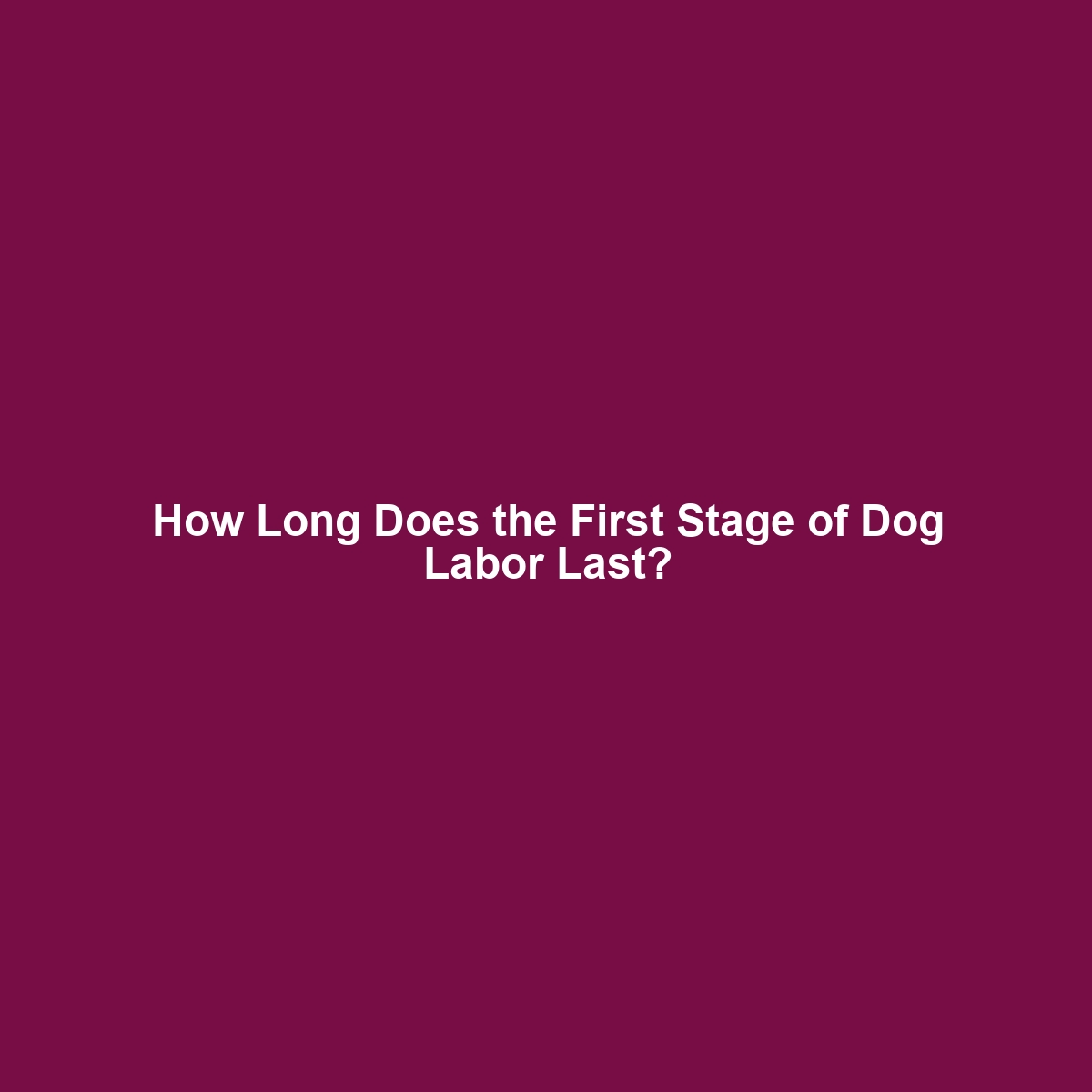 How Long Does the First Stage of Dog Labor Last?