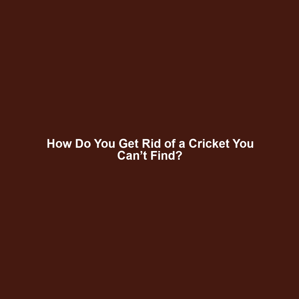 How Do You Get Rid of a Cricket You Can’t Find?