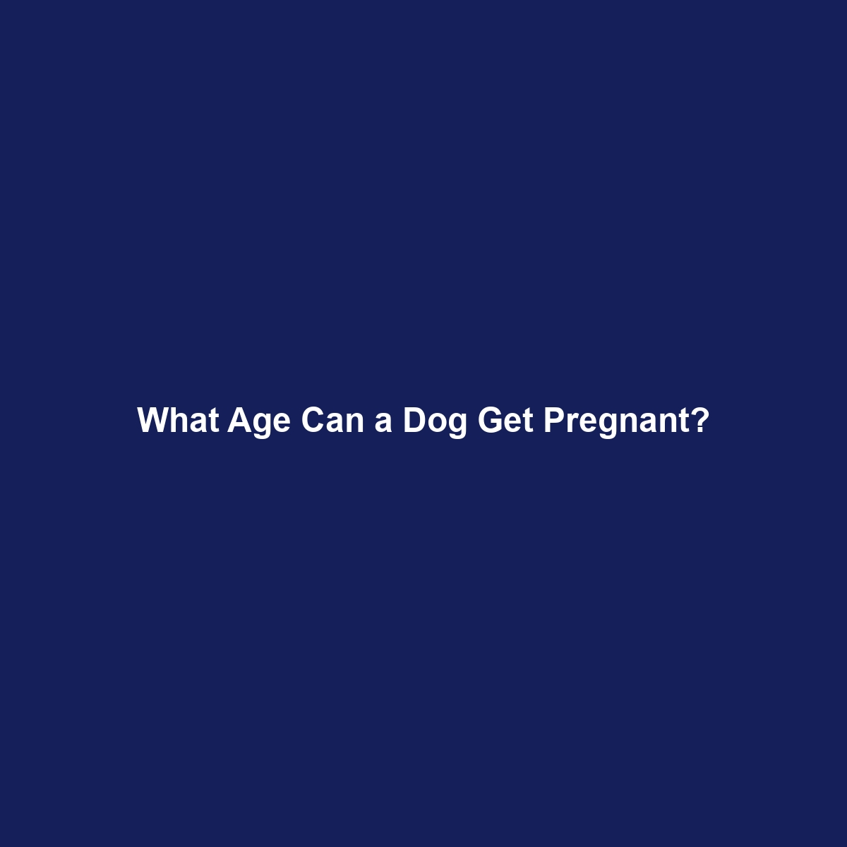 What Age Can a Dog Get Pregnant?