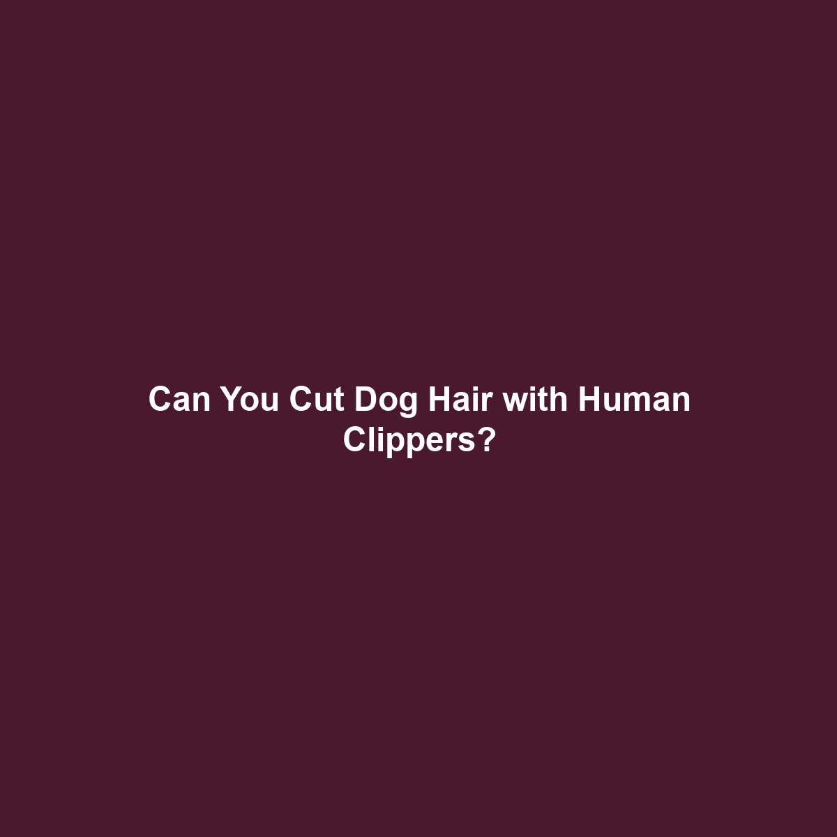 Can You Cut Dog Hair with Human Clippers?