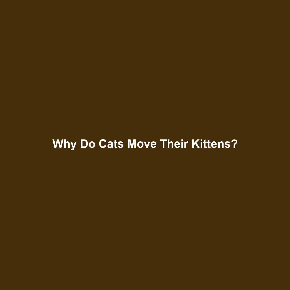 Why Do Cats Move Their Kittens?