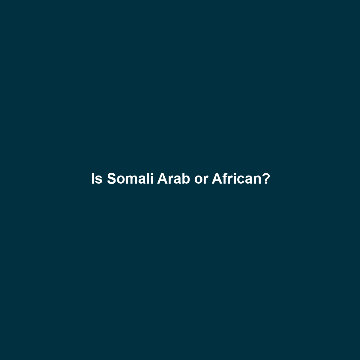 Is Somali Arab or African?