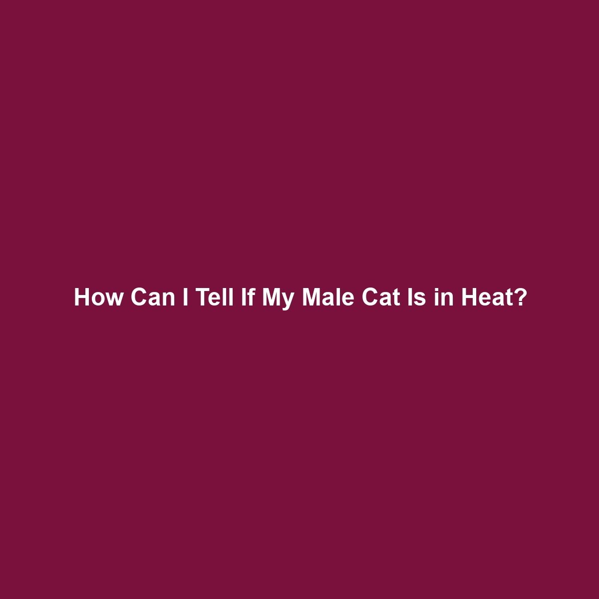 How Can I Tell If My Male Cat Is in Heat?