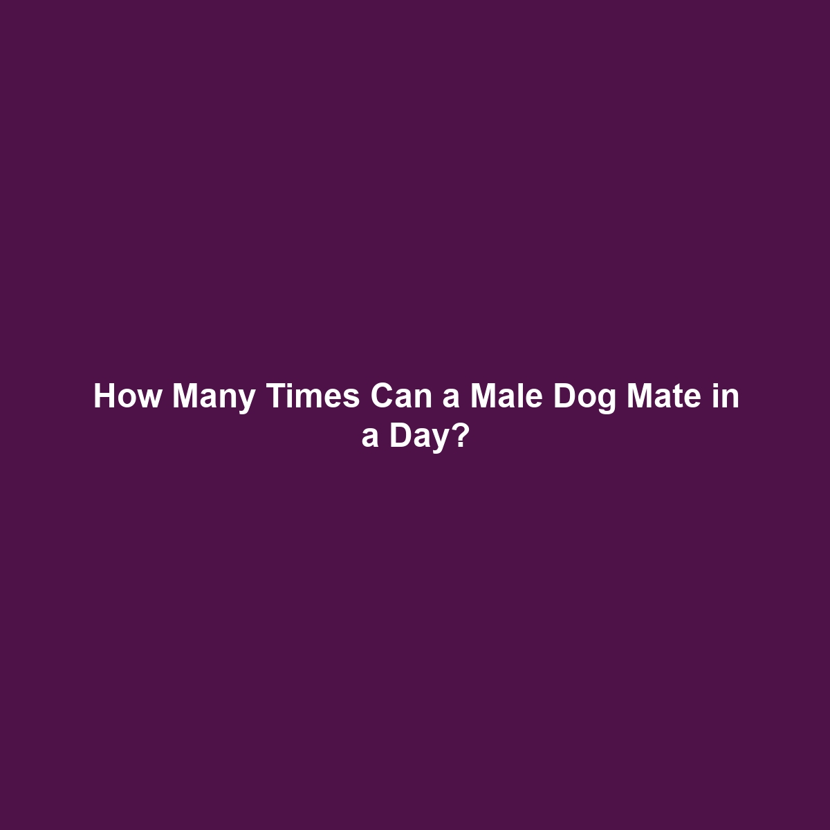 How Many Times Can a Male Dog Mate in a Day?