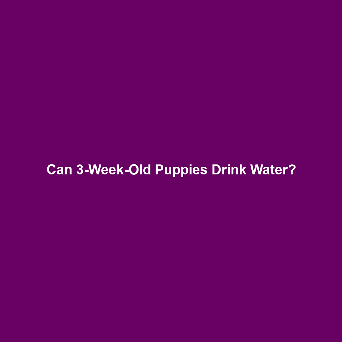 Can 3-Week-Old Puppies Drink Water?