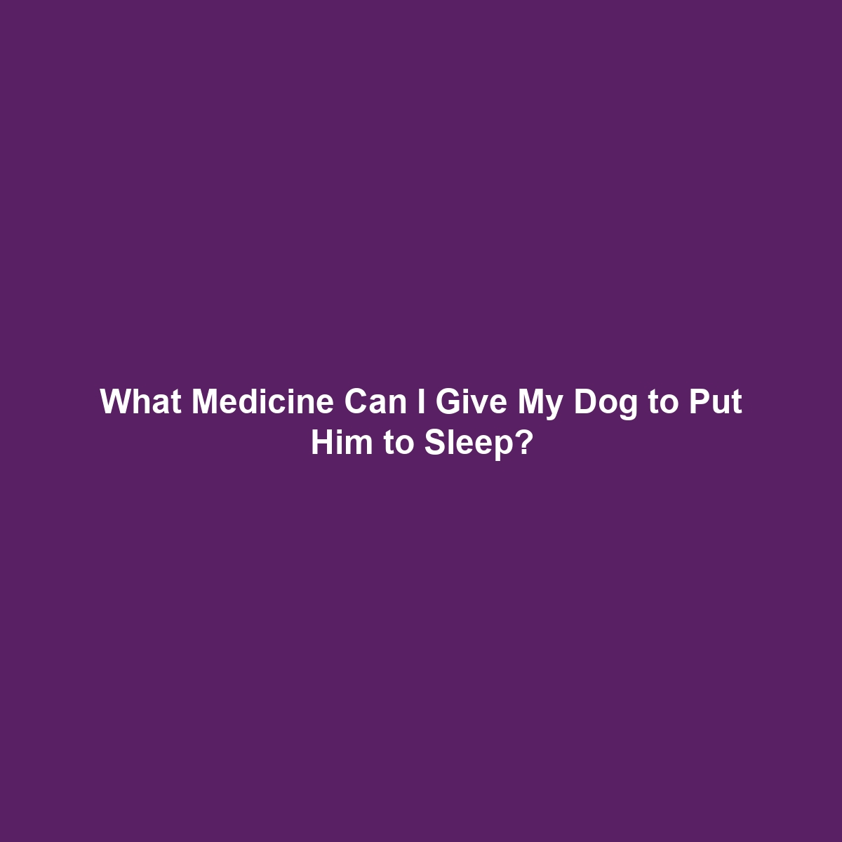 What Medicine Can I Give My Dog to Put Him to Sleep?