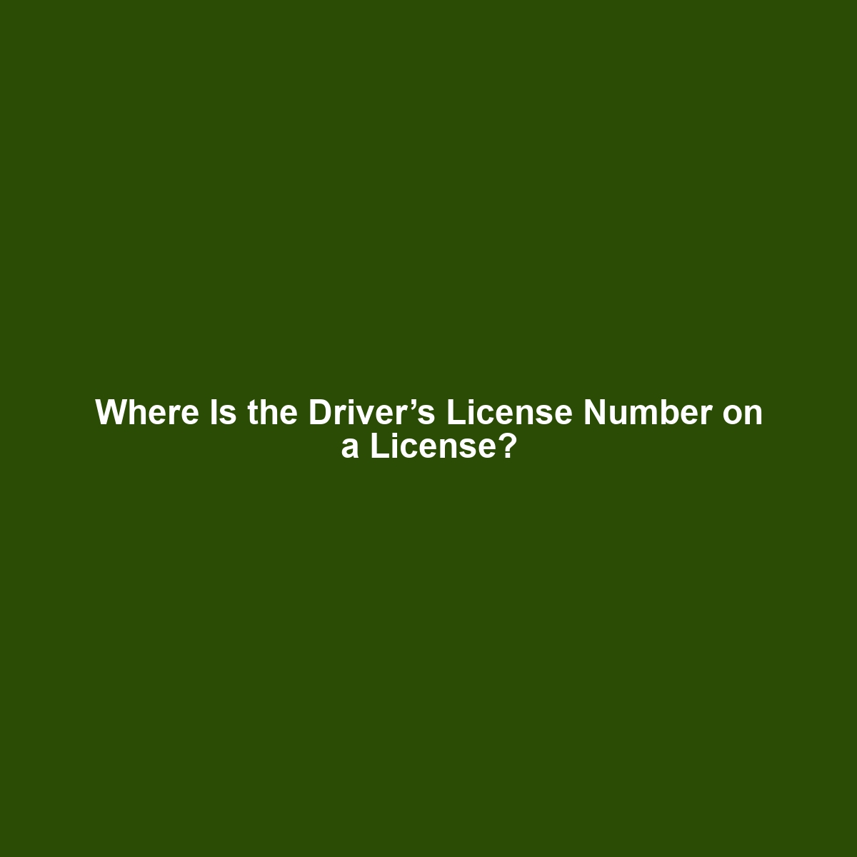 Where Is the Driver’s License Number on a License?