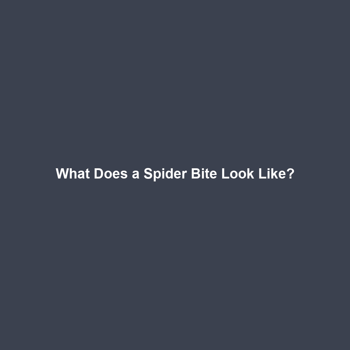 What Does a Spider Bite Look Like?