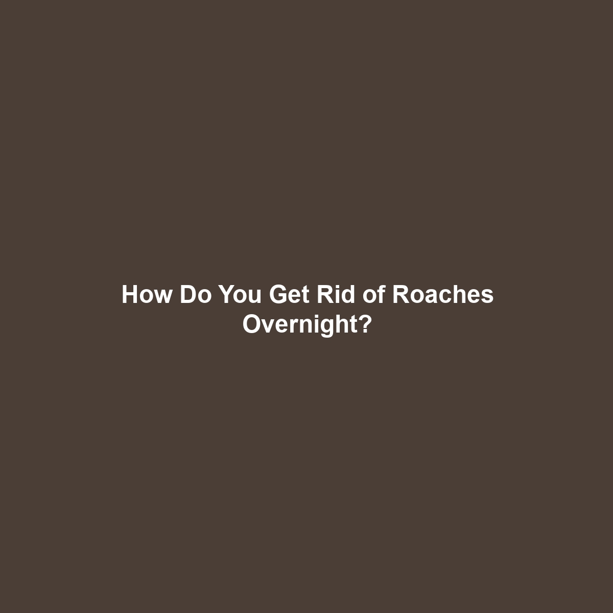 How Do You Get Rid of Roaches Overnight?